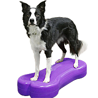 FitPAWS K9FITbone Balance Bone - Giant